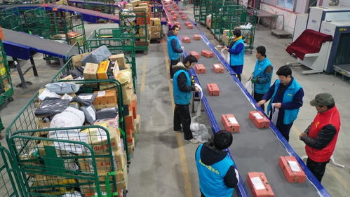 美國農業補貼再增190億美元，為何農場破產率仍飆升8%？出口受阻成關鍵因素